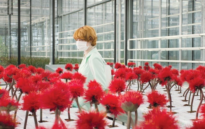 Little Joe - Glück ist ein Geschäft