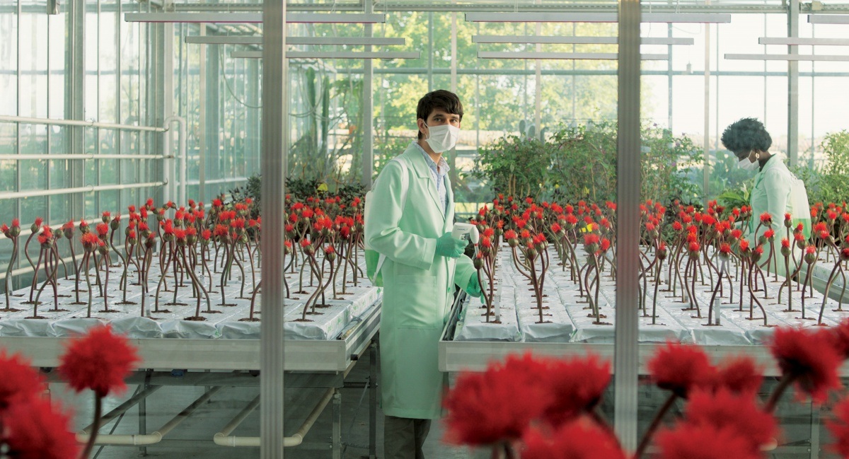 Little Joe - Glück ist ein Geschäft