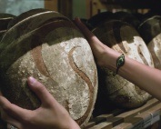 Brot