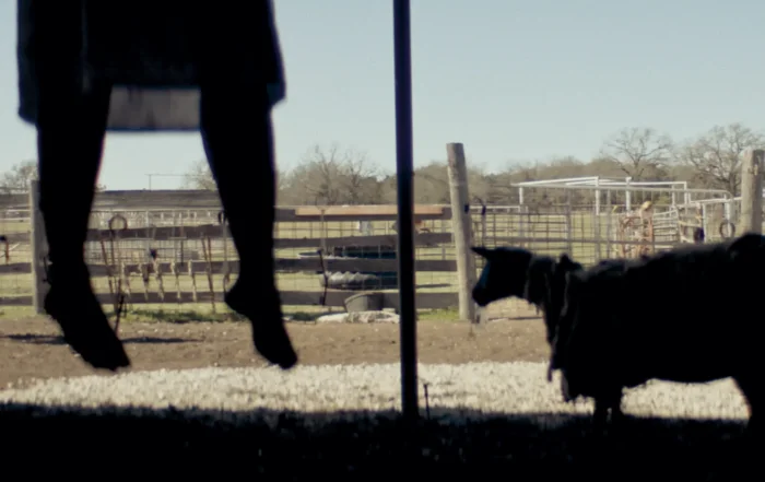 The Dark and the Wicked