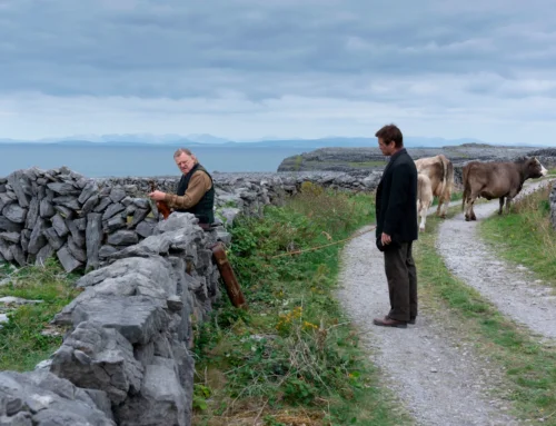 Martin McDonagh dreht neuen Film „Wild Horse“