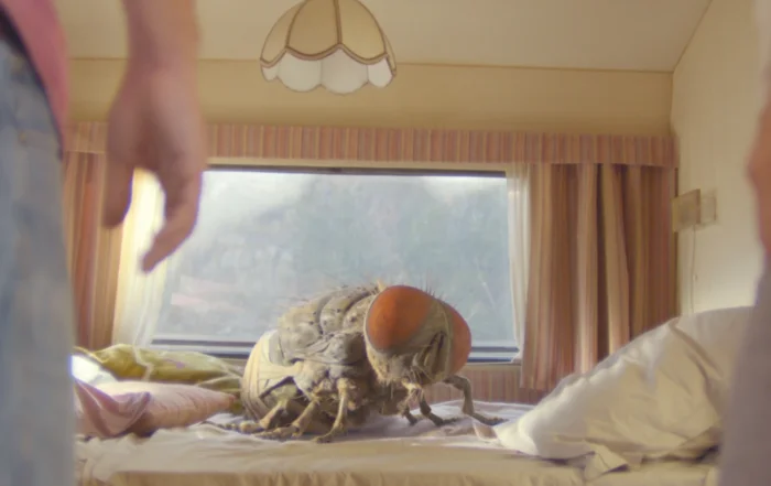 Eine Fliege kommt selten allein Filmstill