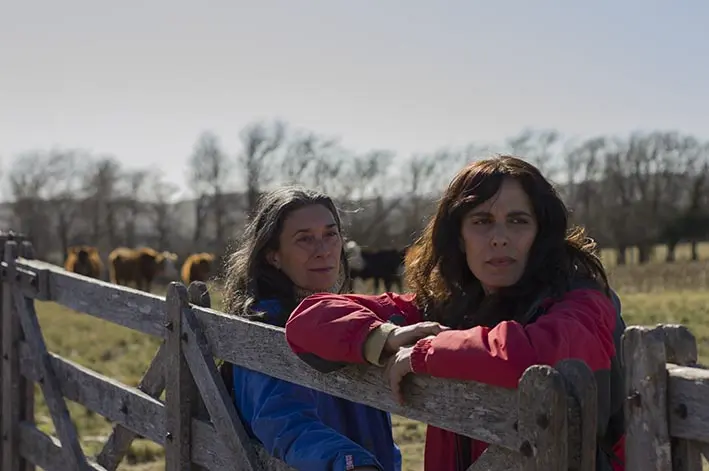 zwei Frauen lehnen an einem Zaun, im Hintergrund grasen Kühe vor kahlen Bäumen