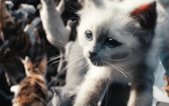 The Marvels Filmstill