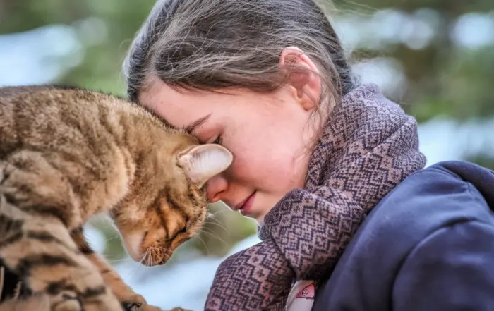 Lou - Abenteuer auf Samtpfoten Filmstill