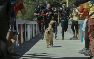 vier Athleten rennen eine Brücke entlang auf die Kamera zu, ihnen voran ein Hund