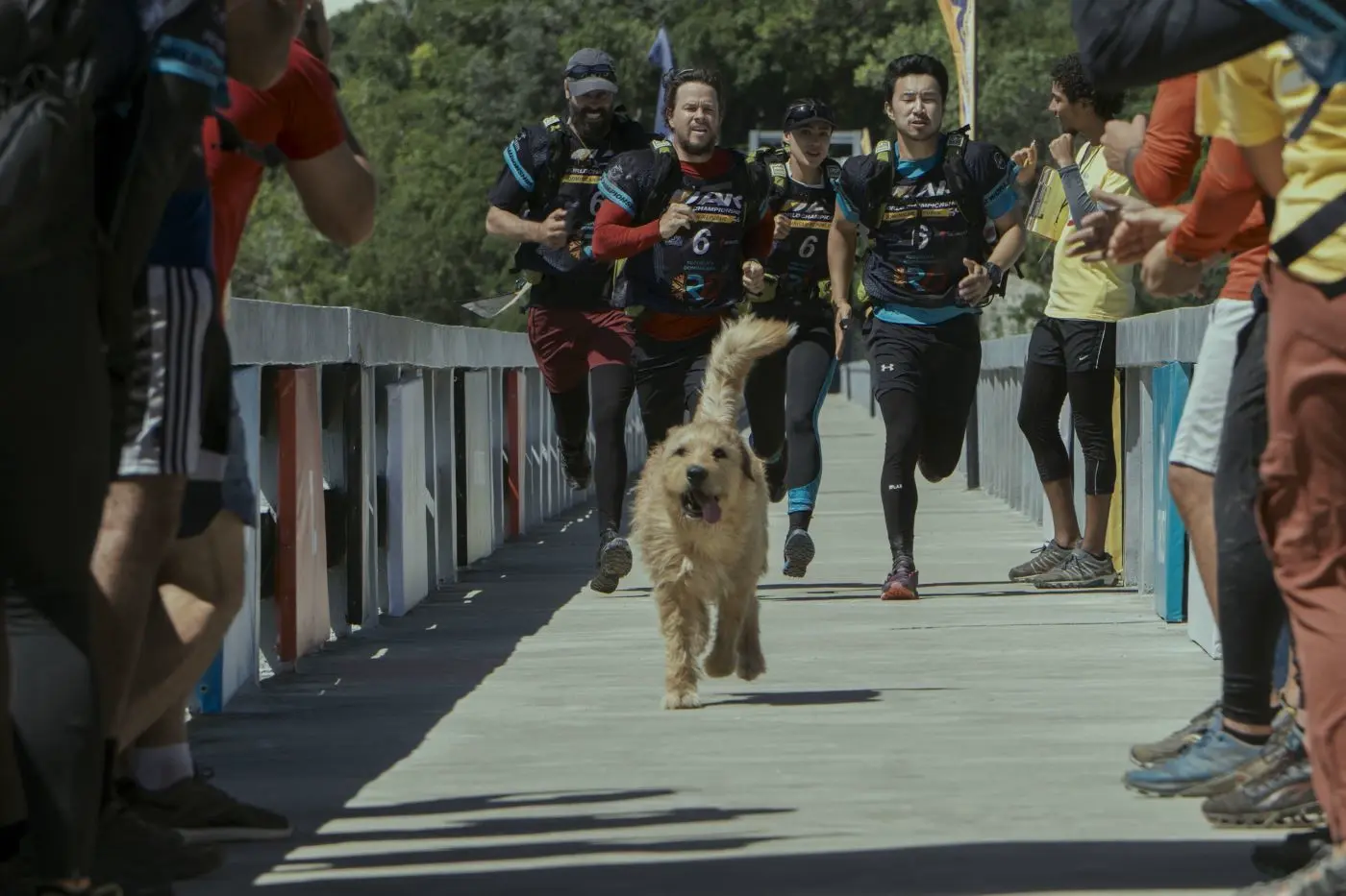 vier Athleten rennen eine Brücke entlang auf die Kamera zu, ihnen voran ein Hund