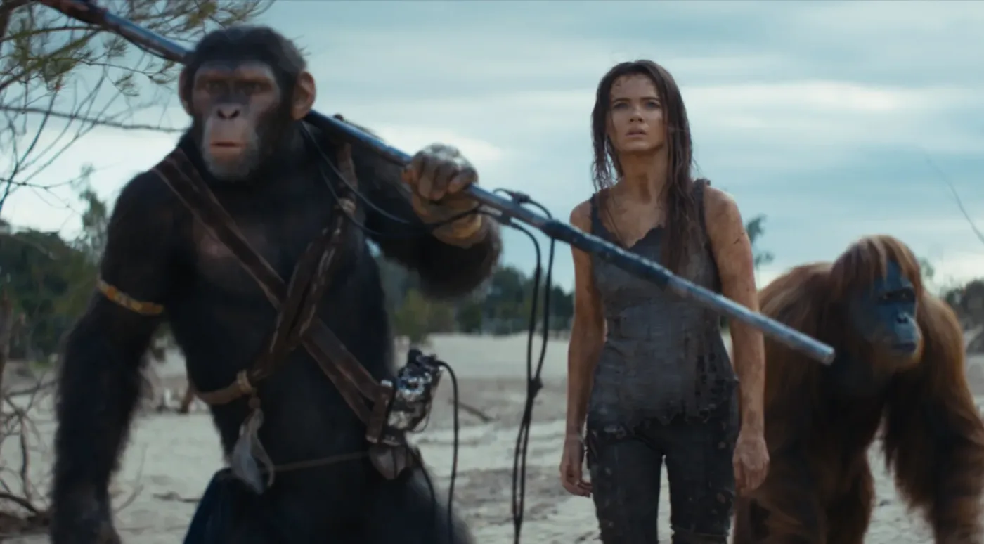 halbnahe Aufnahme eines bewaffneten, aufrechtgehenden Schimpansen, einer junge Frau und eines Orang-Utans, die über einen Sandboden laufen