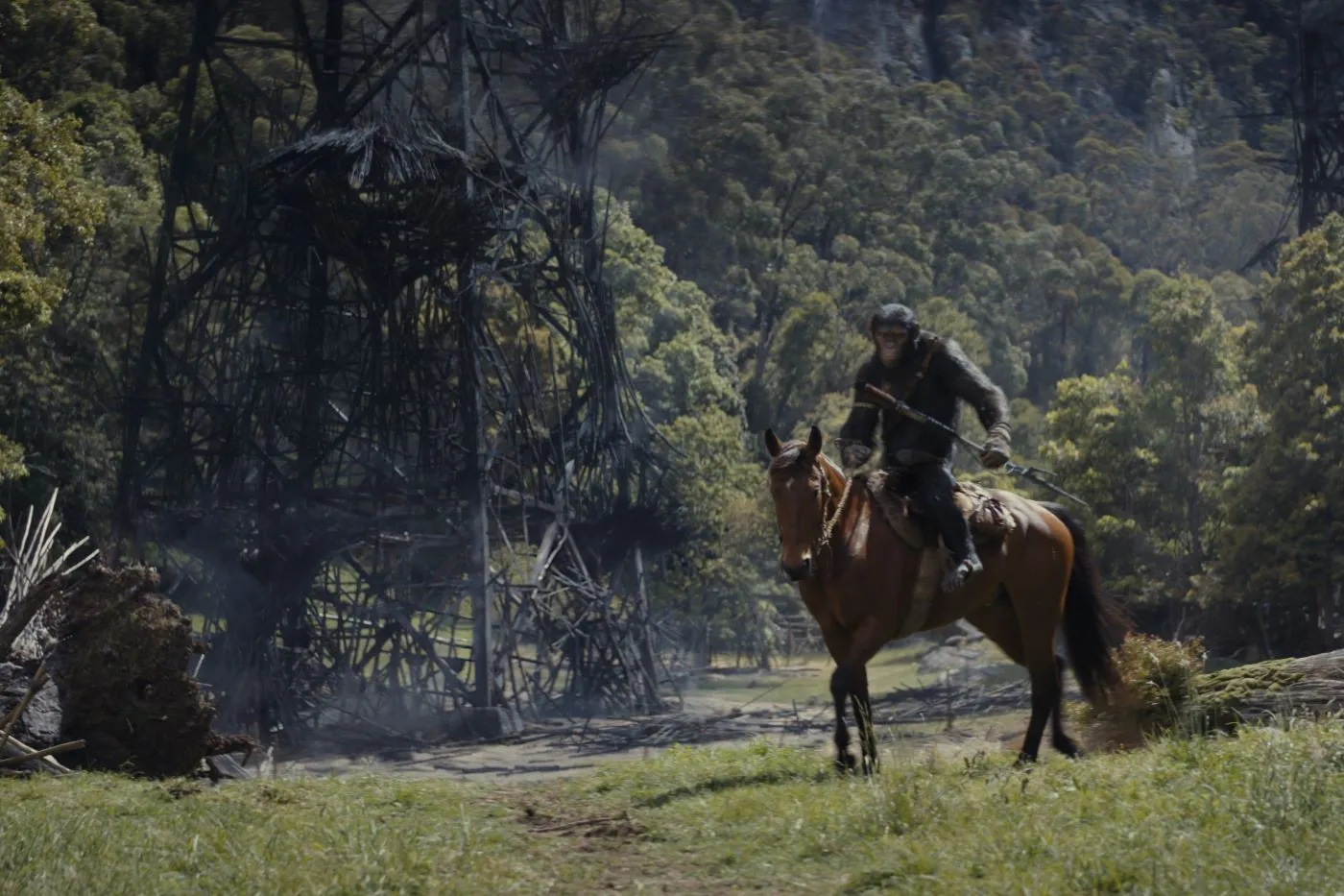 eine bewaldete Landschaft von Trümmern übersät, rechts im Bild reitet ein bewaffneter Schimpanse auf einem braunen Pferd