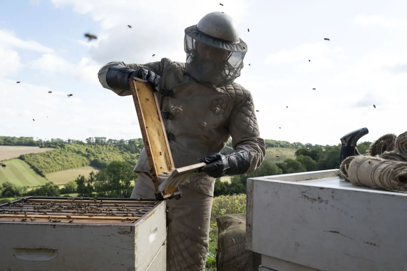 vor hügeliger Graslandschaft leert ein Mann im Imkeranzug Bienenstöcke