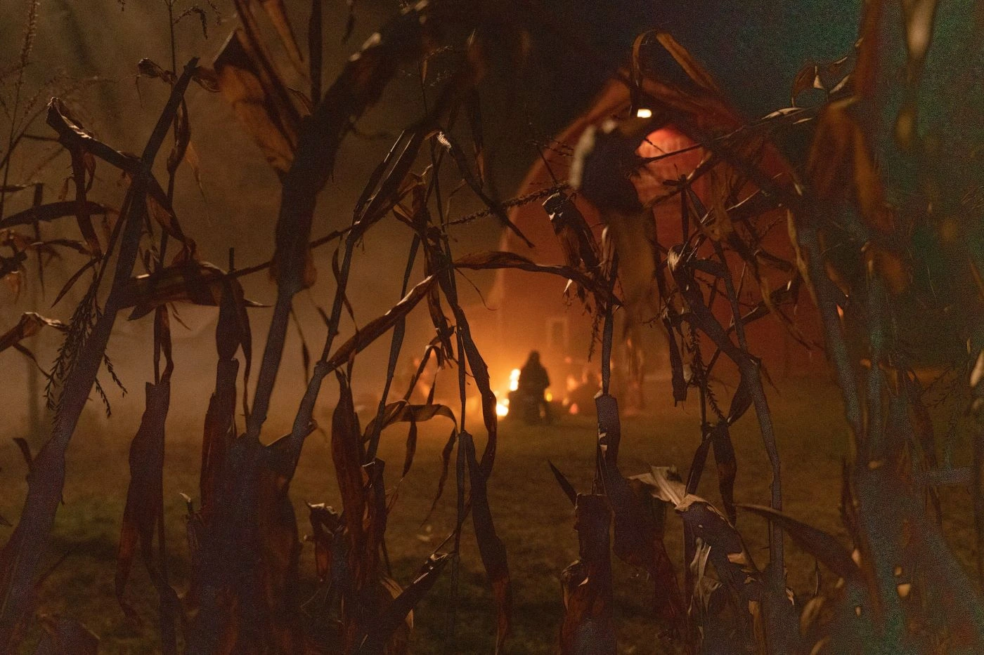 Durch Korngewächse wirft die Kamera bei Nacht einen Blick auf ein kleines Haus vor dem ein Feuerchen brennt und eine Person sitzt