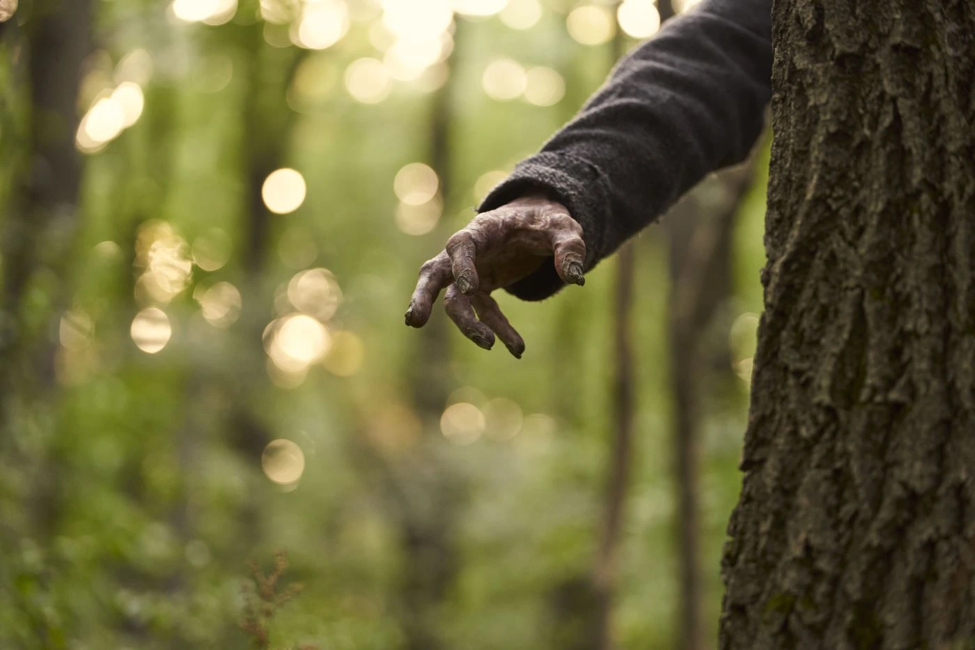 eine vernarbte Hand kommt hinter einem Baum hervor
