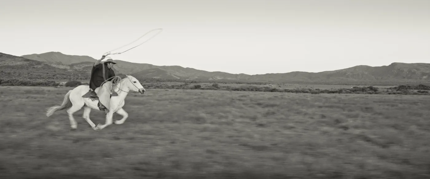 eine weite Graslandschaft, vom linken Bildrand reitet ein Mann mit Cowboyhut und schwingendem Lasso auf einem Pferd dahin