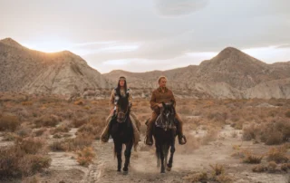Zwei Personen reiten nebeneinander auf dunklen Pferden durch eine trockene, steinige Landschaft mit niedrigen Büschen. Im Hintergrund sind sanft geschwungene Hügel und ein bewölkter Himmel zu sehen. Die Kleidung wirkt robust und ist in gedeckten Farben gehalten. Staub wird von den Hufen der Pferde aufgewirbelt. [erstellt mit KI]