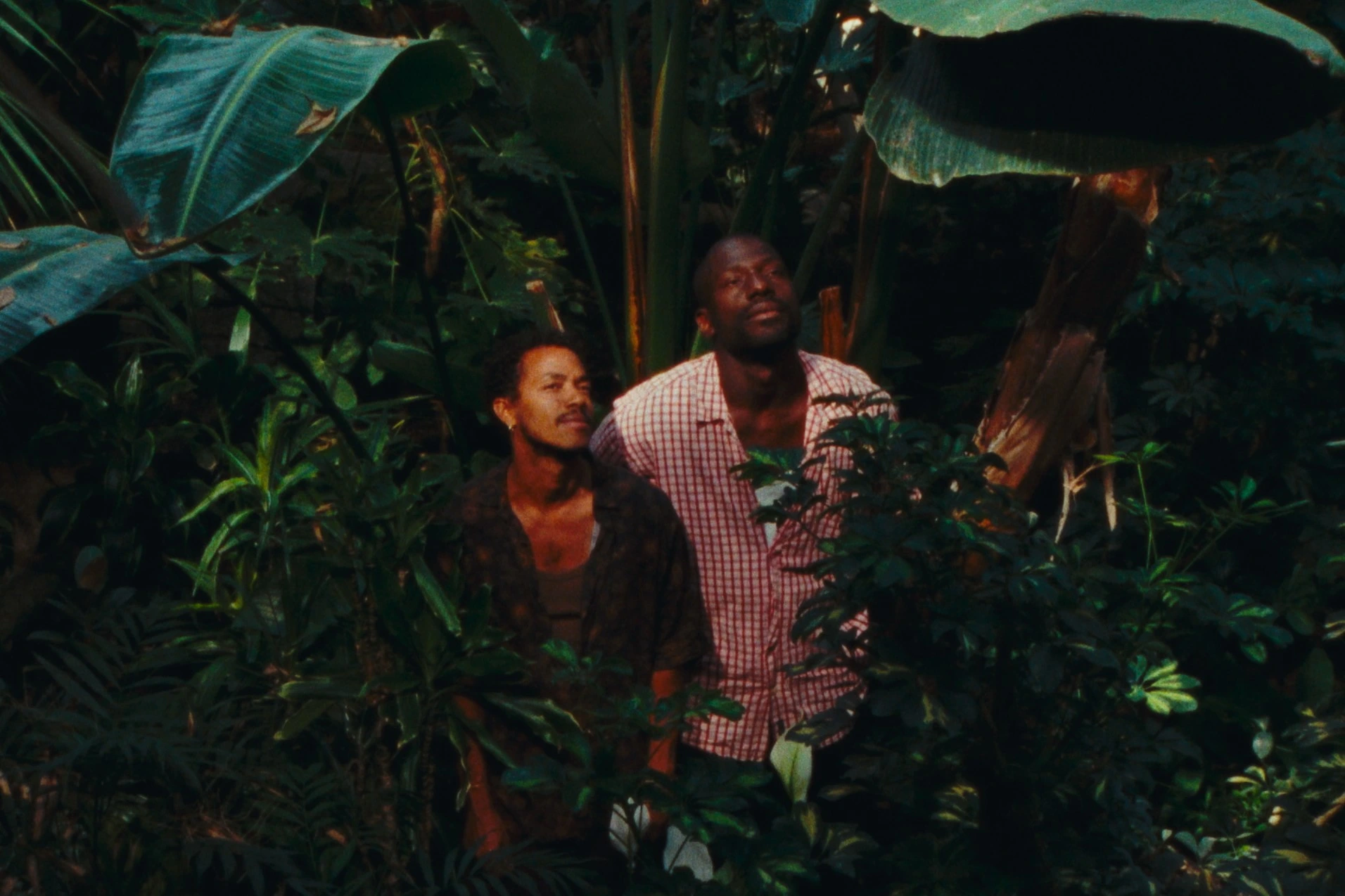 Szenenbild aus Taxi Moto: Zwei Personen stehen inmitten dichter, tropischer Vegetation. Große, grüne Blätter und verschiedene Pflanzen umgeben sie. Die Kleidung ist gemustert und in gedeckten Farben gehalten. Das Licht fällt durch das Blätterdach und erzeugt Schatten auf den Pflanzen und den Personen. [erstellt mit KI]