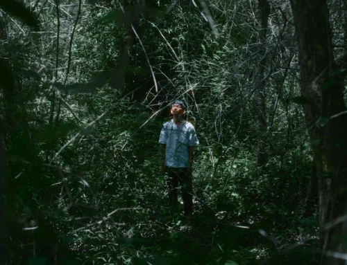 Short about Shorts #5: Incident on the Mountain