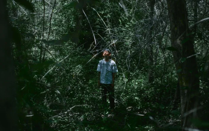 Szenenbild von Incident on the Mountain: Eine Person mit hellem, kurzärmligem Hemd steht aufrecht in einem dichten, schattigen Wald. Sonnenlicht fällt stellenweise durch das Blätterdach und erzeugt helle Flecken auf dem Boden und der Kleidung. Im Hintergrund sind zahlreiche Äste und Blätter zu sehen, die eine verwachsene, natürliche Umgebung bilden. [erstellt mit KI]