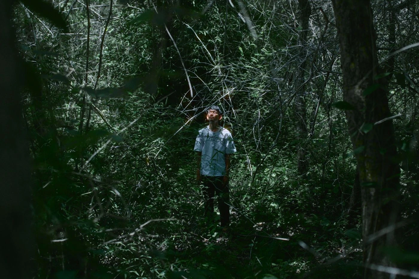 Szenenbild von Incident on the Mountain: Eine Person mit hellem, kurzärmligem Hemd steht aufrecht in einem dichten, schattigen Wald. Sonnenlicht fällt stellenweise durch das Blätterdach und erzeugt helle Flecken auf dem Boden und der Kleidung. Im Hintergrund sind zahlreiche Äste und Blätter zu sehen, die eine verwachsene, natürliche Umgebung bilden. [erstellt mit KI]