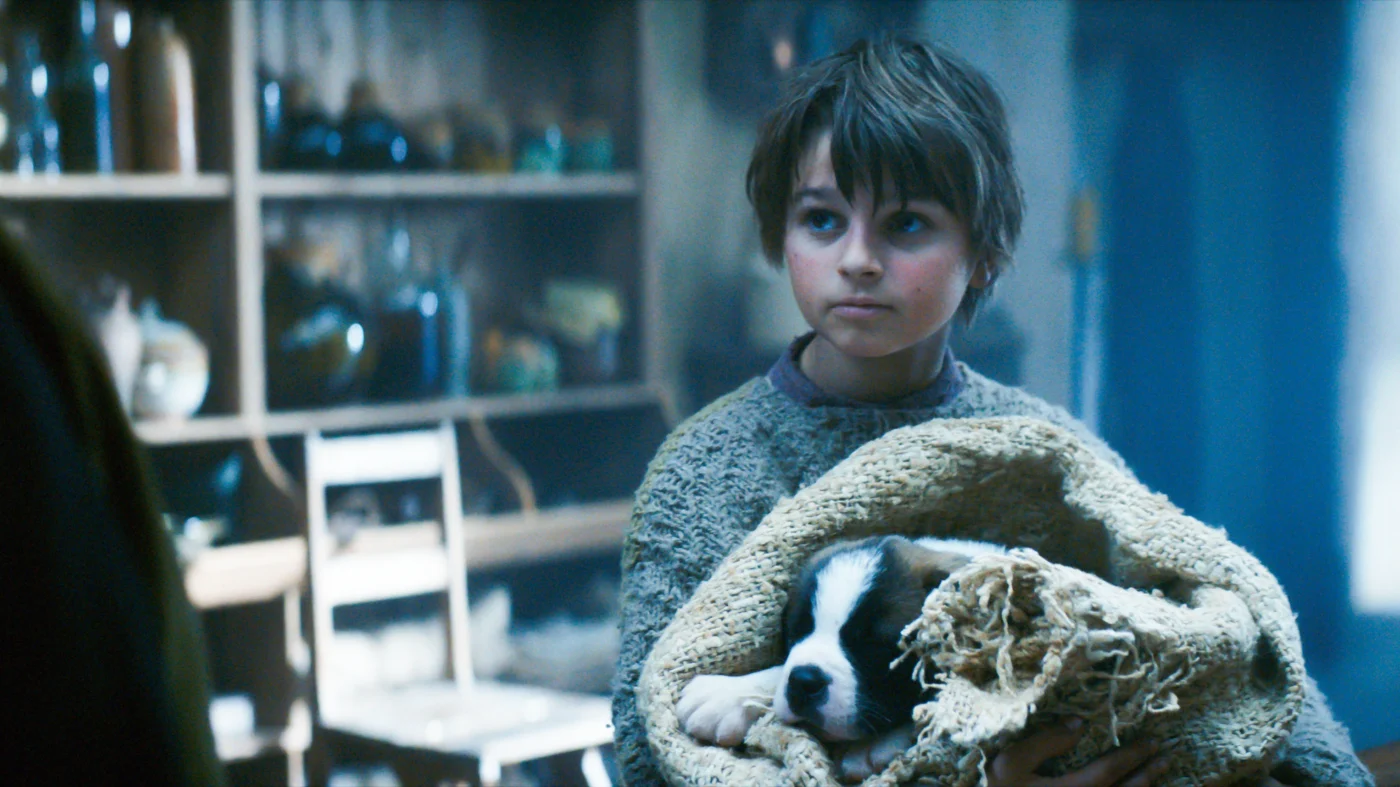 Ein Kind mit mittellangem, hellem Haar hält einen Welpen in einer grob gestrickten Decke im Arm. Das Kind trägt einen grob gestrickten Pullover. Im Hintergrund stehen Regale mit verschiedenen Glasgefäßen und Keramik. [erstellt mit KI]