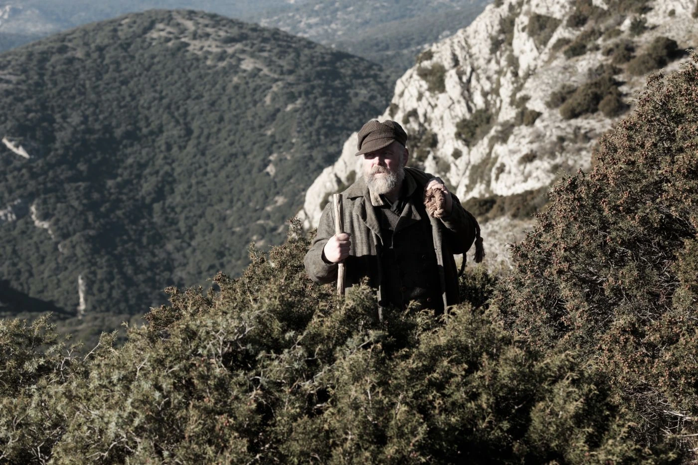 Szenenbild aus Les Misérables - Die Geschichte von Jean Valjean: In einer bewaldeten Gebirgslandschaft steht ein Mann mit Bart und Wanderstock.