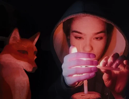 A Fox under a Pink Moon