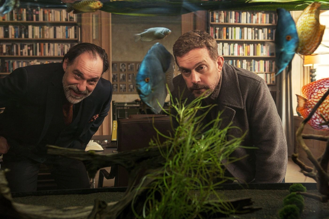 Szenenbild aus Die Ältern: Zwei Männer mit Bart und ernster Miene beugen sich nach vorne und blicken durch ein großes Aquarium. Mehrere bunte Fische schwimmen im Wasser, im Vordergrund sind grüne Wasserpflanzen und Dekorationen zu sehen. Im Hintergrund steht ein großes Bücherregal mit vielen Büchern. [erstellt mit KI]