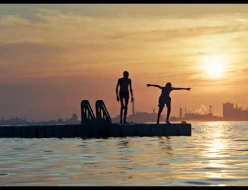 Hofer Filmtage 2026: „Pale Sun“, „Paradeisa“, „Pipes“ und „The Space We Call Home“